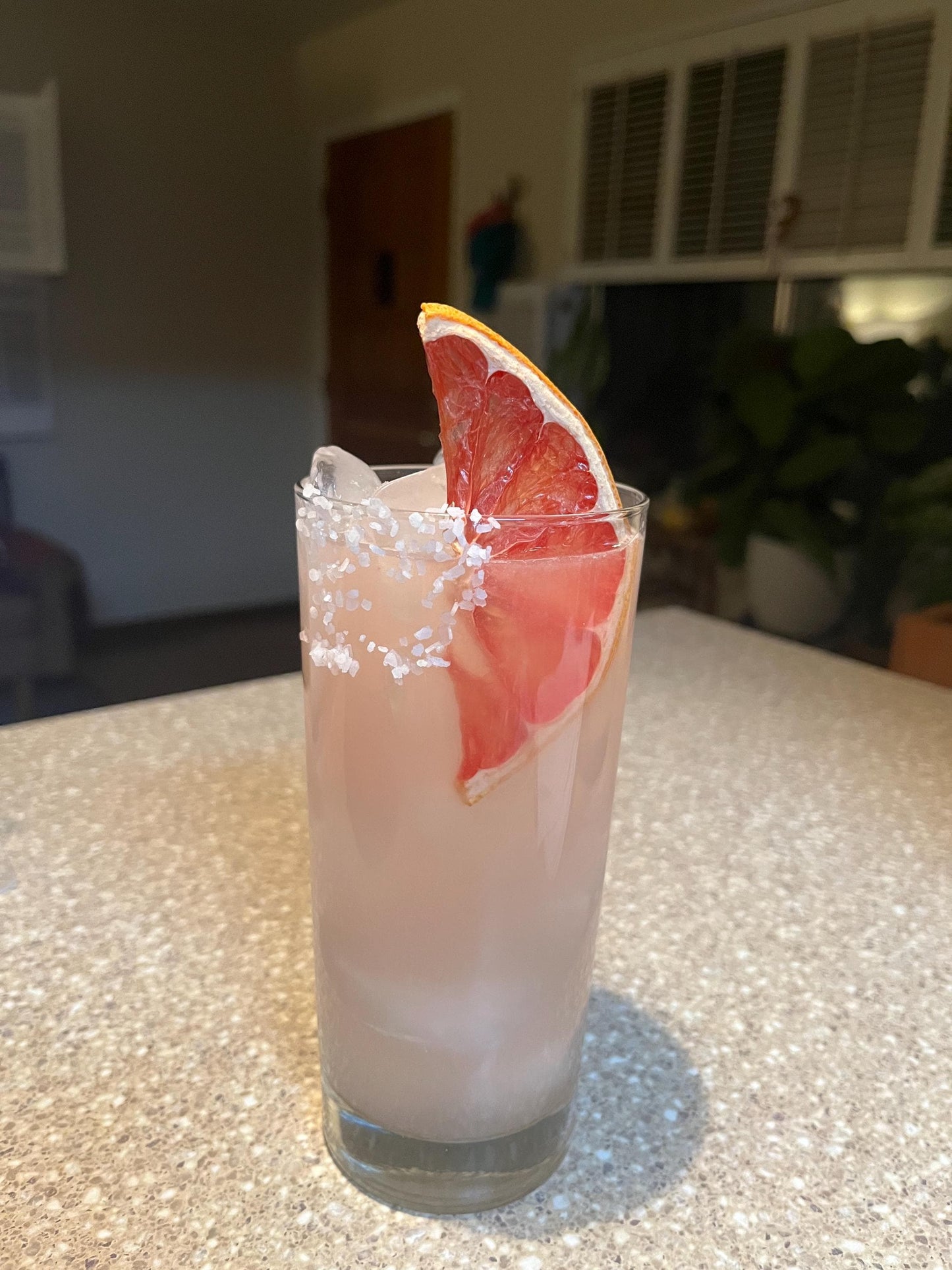 Dried Grapefruit Slices - 2 oz