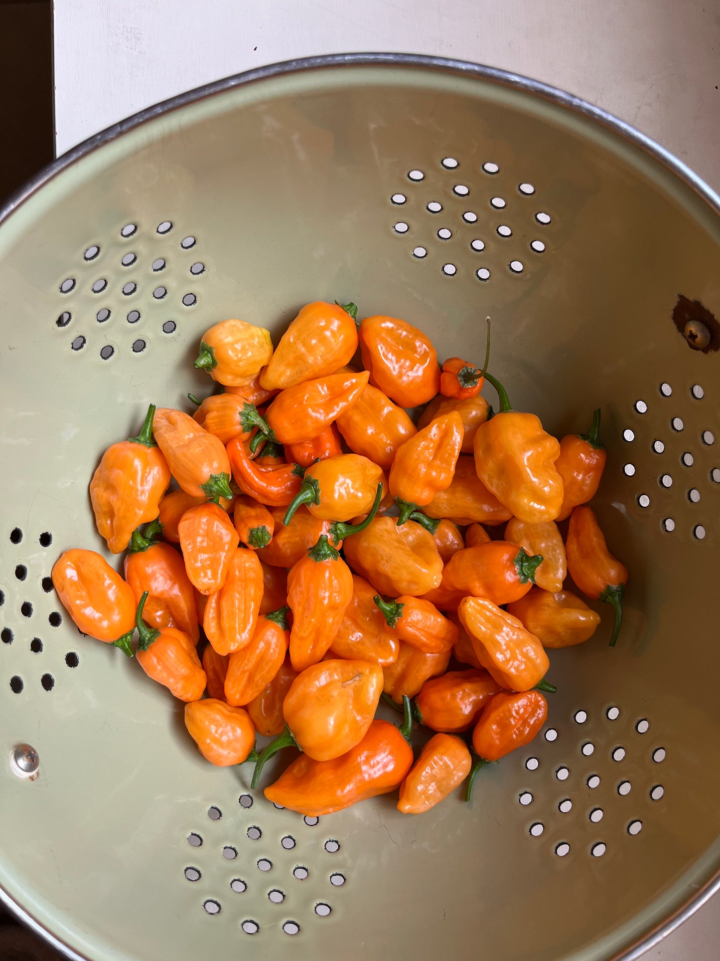 Habanero Hot Sauce – Small Batch Artisan Spicy Sauce – Gift for Chili Lovers, Grilling, Cocktail Use